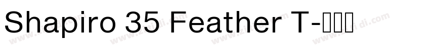 Shapiro 35 Feather T字体转换